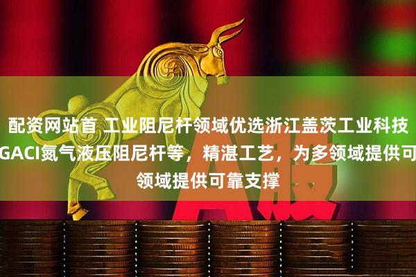 配资网站首 工业阻尼杆领域优选浙江盖茨工业科技，专注GACI氮气液压阻尼杆等，精湛工艺，为多领域提供可靠支撑
