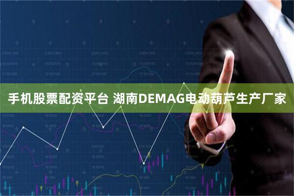 手机股票配资平台 湖南DEMAG电动葫芦生产厂家